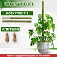thumbnail image 5 of 80 Inches Large Moss Pole for Plants Monstera, Plant Stakes for Indoor Plants, Monstera Plant Support, Plant Support/Plant Pole for Big Climbing Plants Indoor (1pc., 80''), 5 of 5