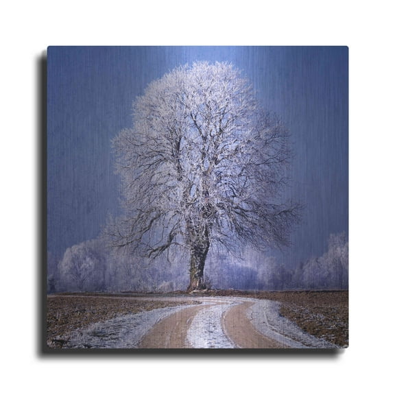 Luxe Metal Art 'The Sounds Of Silence' by Philippe Sainte-Laudy, Metal Wall Art, 24"x24"