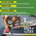 thumbnail image 3 of Limpiador STAR BRITE Removedor de Manchas de Pájaros y Arañas 650 ml, 3 of 3