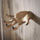 thumbnail image 2 of Halloween Skeleton Hands, Realistic Life Size Resin Fake Hands Scary Witch Hands for Halloween Party Haunted Houses, 2 of 5