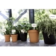thumbnail image 4 of Maceta de cultivo Green Basics 13 - Maceta de cultivo - gris oscuro - interior y exterior - ? 17 x H 15,6 cm, 4 of 5