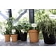 thumbnail image 4 of Maceta de cultivo Green Basics 13 - Maceta de cultivo - gris oscuro - interior y exterior - ? 17 x H 15,6 cm, 4 of 5