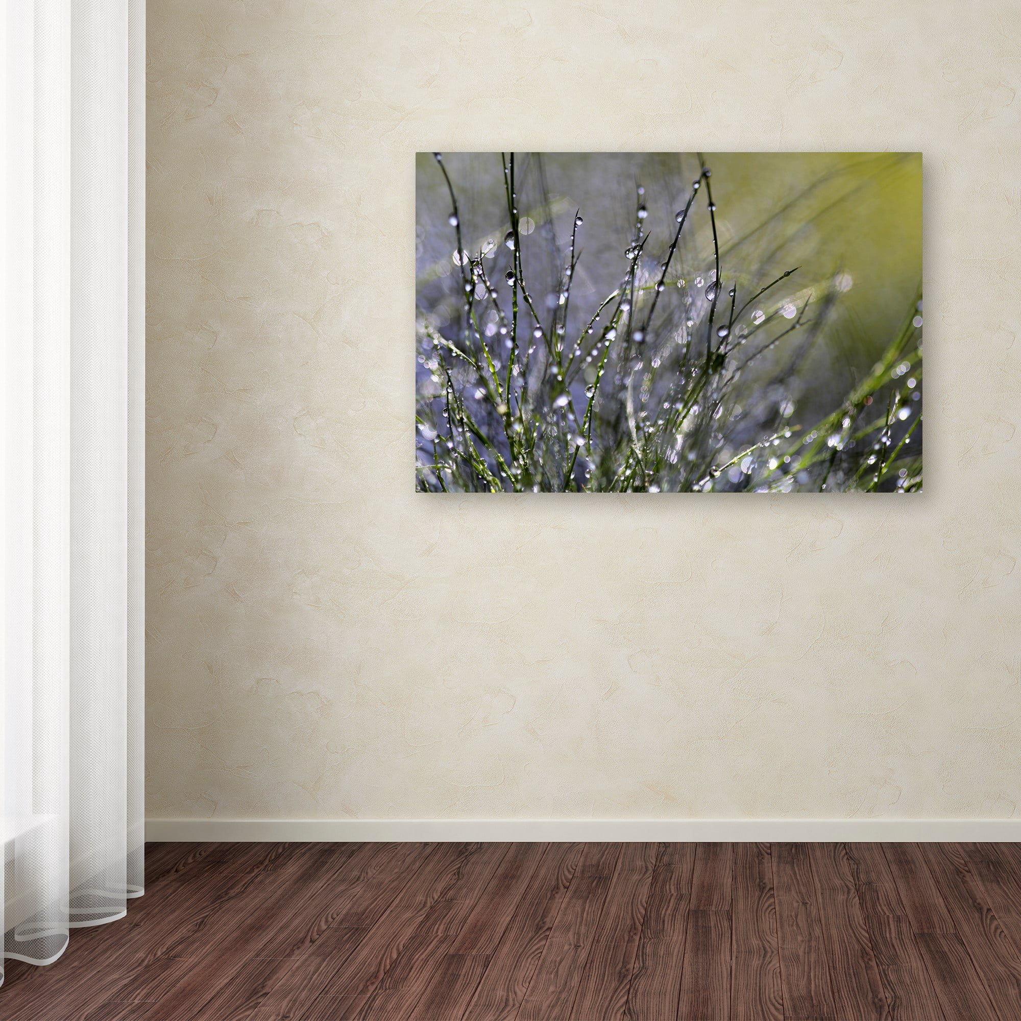 Trademark Fine Art "Spring Morning" Canvas Art by Beata Czyzowska Young