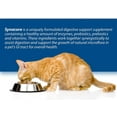 thumbnail image 5 of Synacore Digestive Support for Cats 30 Stick 1.5g Packets, 5 of 7