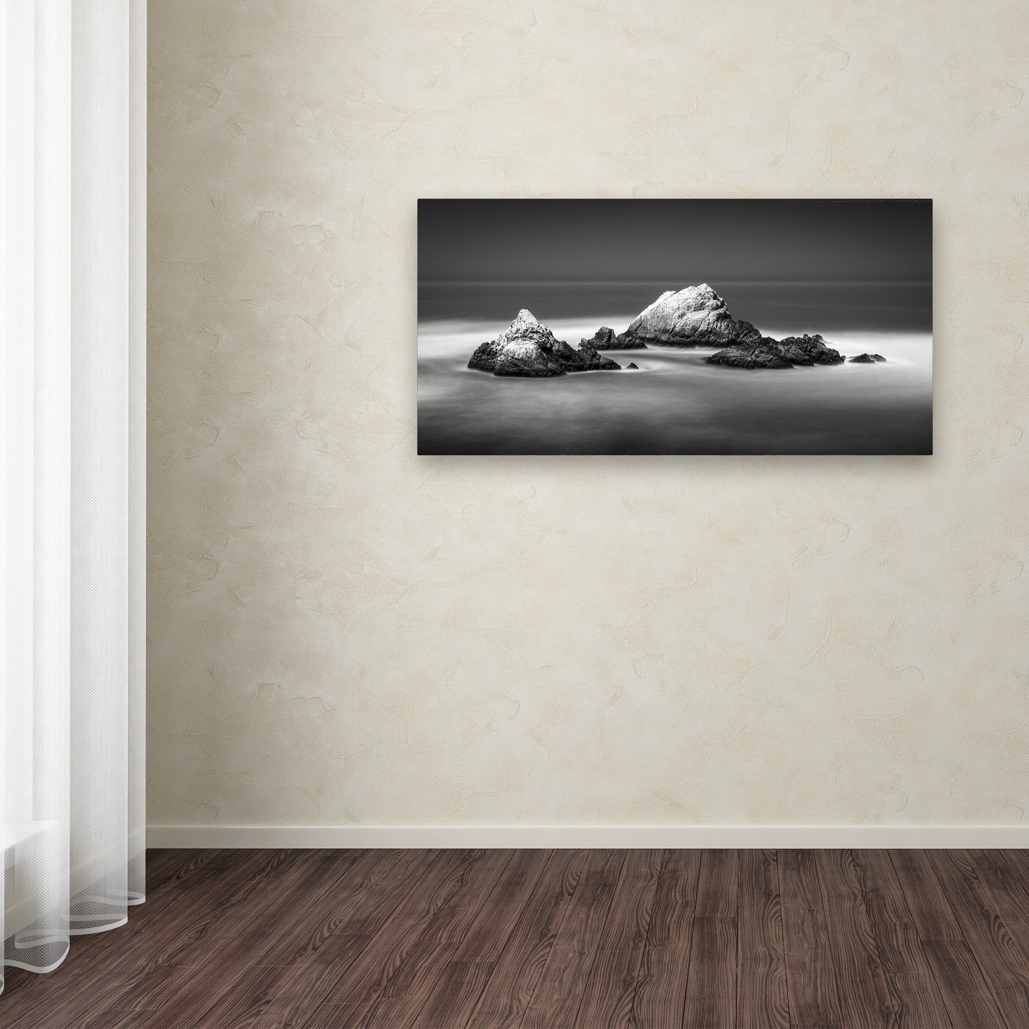 Trademark Fine Art Dave MacVicar 'Seal Rocks' 24 x 47 (ALI0851-C2447GG)