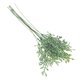 thumbnail image 5 of unbranded 10Ud Picks De Follaje Artificial Verde Para Centros De Y Resistente, 5 of 8
