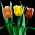 thumbnail image 2 of Koetsier, Albert 26x26 Black Ornate Wood Framed with Double Matting Museum Art Print Titled - Jewel Embellished Tulips 4, 2 of 4