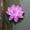 Light Purple, variant on Farfi Artificial Lotus Flower Fake Floating Water Lily Garden Pond Fish Tank Decor (Light Purple)
