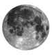 thumbnail image 1 of Round Gray Moon Gray Moon Mouse Term, 1 of 3