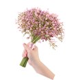 thumbnail image 1 of FESTFENDS Artificial Gypsophila Decor Rosa Simulación Flores Para Ramo Y De, 1 of 4