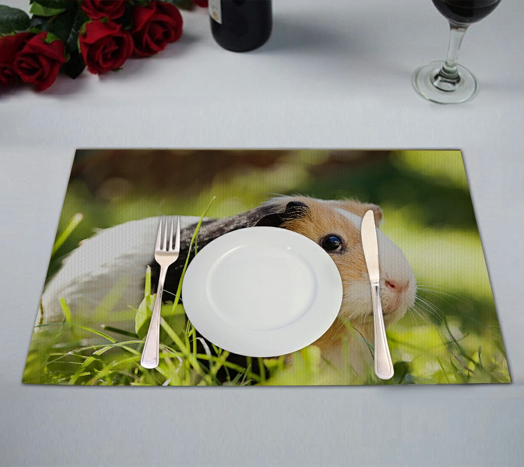 ABPHQTO Guinea Pig Household Pet Table Placemat Food Mat 12x18 Inch