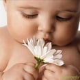 thumbnail image 5 of Pomada curativa para la dermatitis del pañal Puremedy Baby, 60 ml, 5 of 5