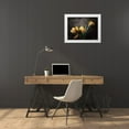 thumbnail image 3 of Bluebird Barn 32x25 White Modern Wood Framed Museum Art Print Titled - Contemporary Floral Tulips, 3 of 4