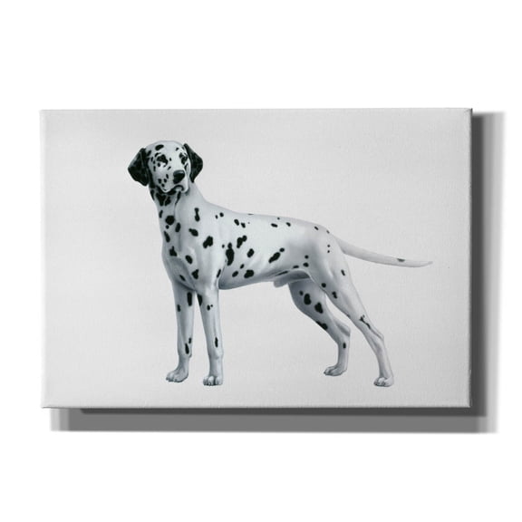 Epic Graffiti 'Dalmatian' by Harro Maass, Canvas Wall Art, 26"x18"