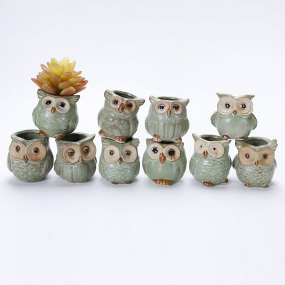 Worgeous  5 Pcs Owl Succulent Ornaments Garden Pots Small Planter Desktop Stand Flower Green