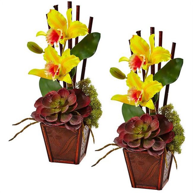 Nearly Natural 1445-S2-YL Arrangement Orchidée Cattleya & Succulente - Jaune, Ensemble de 2