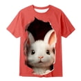 thumbnail image 4 of Boys Easter Outfit Retro Comfortable White Sunflower Summer Easter Tshirt Bunny Short Sleeve Shirt for Boys Girls Kids Tees T-Shirts, 4 of 4