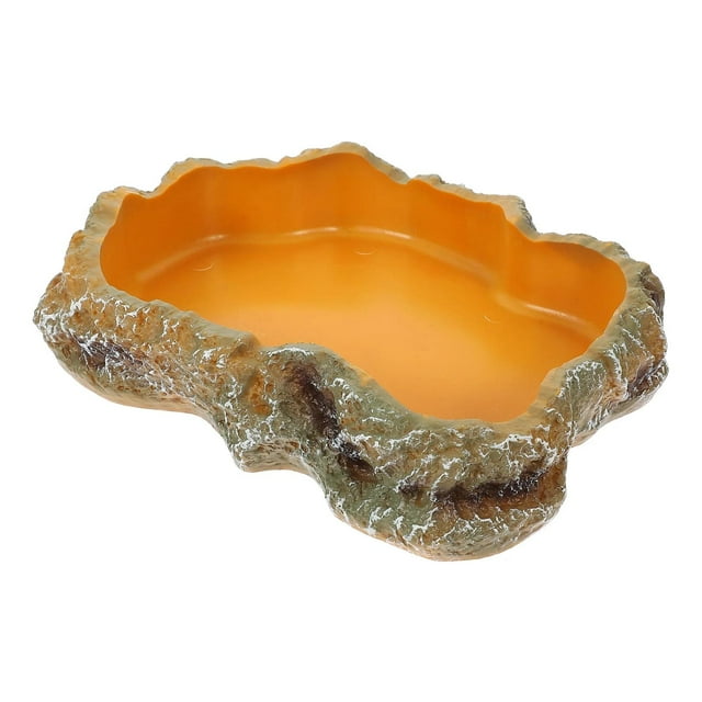 Transemion Pet Aquarium Ornament Terrarium Plate Tank Decor Enhances Any Reptile Environment With Style Luminous Reptile Bowl S