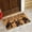 E, variant on Clearance Under $5!Yyuenw Dogs Welcome People Tolerated Door Mat 15.7 X 23.6 Inches, Funny Dog Doormat, Welcome Mat Dog, Dog Welcome Mat Front Door, Dog Front Door Mat, Dog Mat