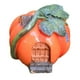 thumbnail image 1 of Mini Casa Zulema Accesorios de Bricolaje Decoración de Jardín Calabaza Pequeña, 1 of 8