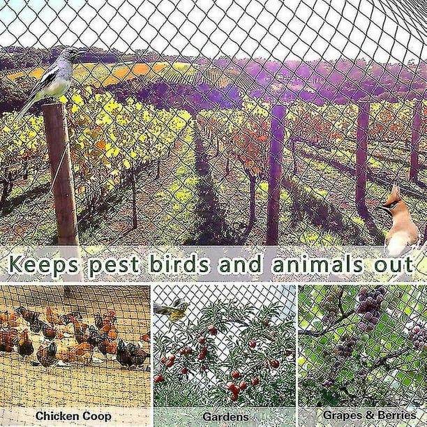 Filet Anti-oiseau lourd clôture de jardin et cultures clôture de protection  maille Anti oiseau cerf