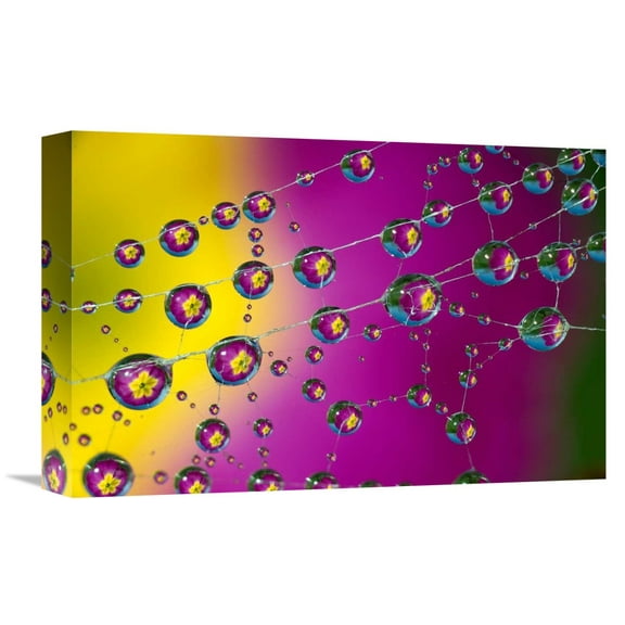 Global Gallery Ghizzi Panizza Alberto,'Untitled' Stretched Canvas Artwork