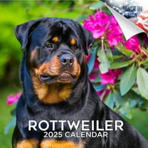 2025 2026 Rottweiler Calendar - Dog Breed Monthly Wall Calendar - 12 x 24 Open - Thick No-Bleed Paper - Giftable - Academic Teacher's Planner Calendar Organizing & Planning - Made in USA