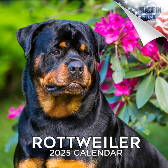 2025 2026 Rottweiler Calendar - Dog Breed Monthly Wall Calendar - 12 x 24 Open - Thick No-Bleed Paper - Giftable - Academic Teacher's Planner Calendar Organizing & Planning - Made in USA
