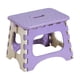 thumbnail image 2 of Taburete Plegable, Asiento Portátil Para Exteriores, Diseño Compacto Y Plegable, Ligero Para Camping, Pesca Y Senderismo, Color Morado, 2 of 8
