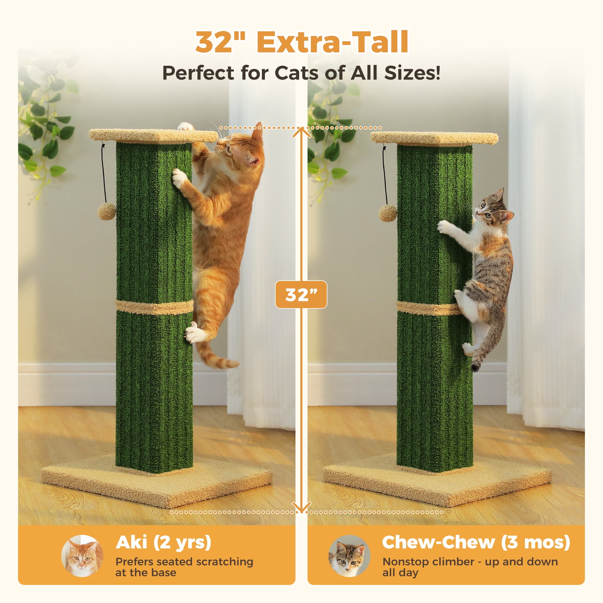 PAWZ Road 32" Tall Cat Scratching Post for Indoor Cats - Durable Cat Scratcher with Wide Base, Green