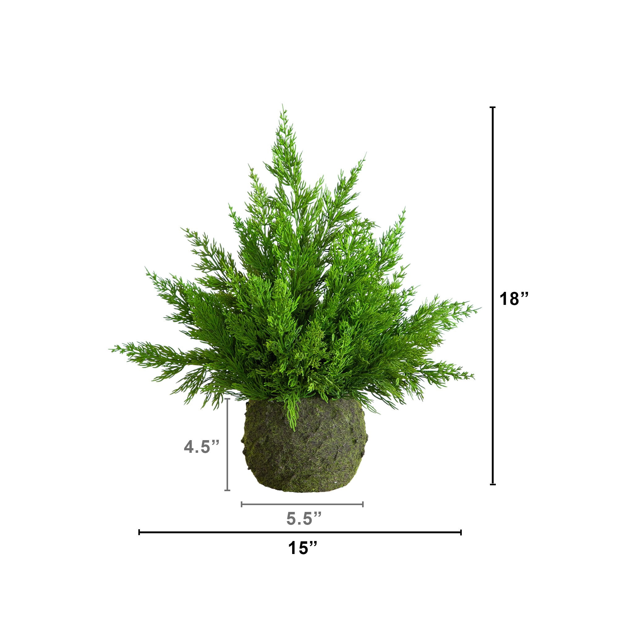 18in. Artificial Real Touch Winter Cypress Bush in Moss Planter
