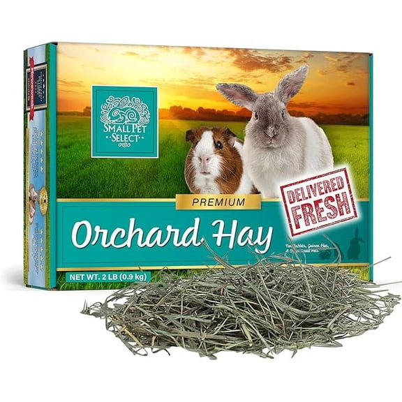 Small Pet Select Orchard Grass Hay Pet Food, 2 Lb.