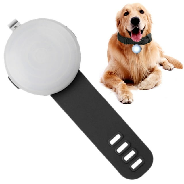 AKEGAMN Liquidation! Lumière de Collier pour Chien LED Lumière de Étiquette pour Collier de Chien à Clipser Lumières pour Chien pour Marche Nocturne et Camping Activité Extérieure Prête : design et Lumière Rend Ce LED pour Tout. Mieux