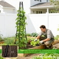 thumbnail image 6 of Garden Trellis for Climbing Plants Outdoor, 65inch Tall Rustproof Black Metal Obelisk Trellis Support for Potted Vines Vegetable Plants Indoor Outdoor, Antislip, Easy to Install 1PC, 6 of 9