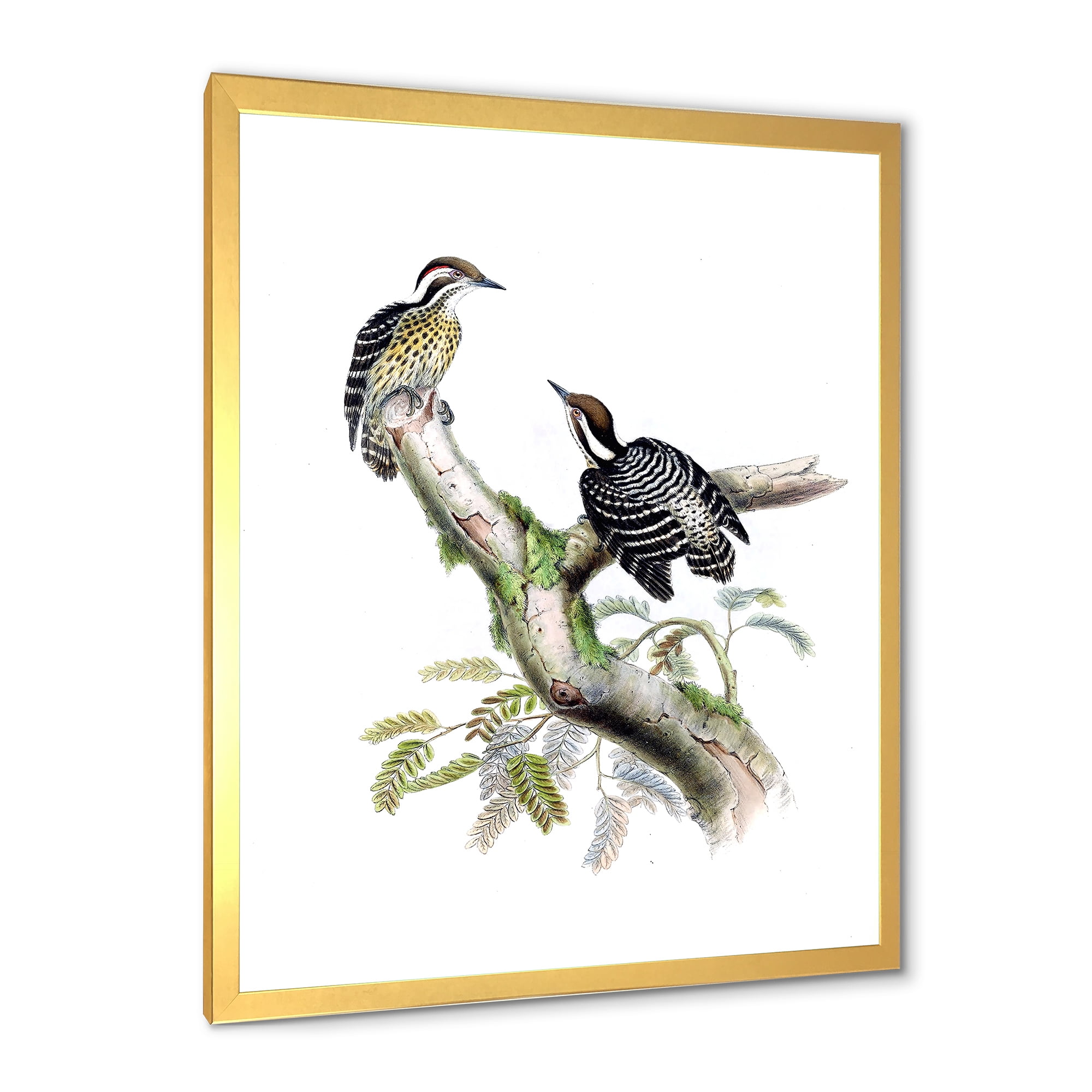 Designart 'Ancient Birds In The Wild VIII' Traditional Framed Art Print