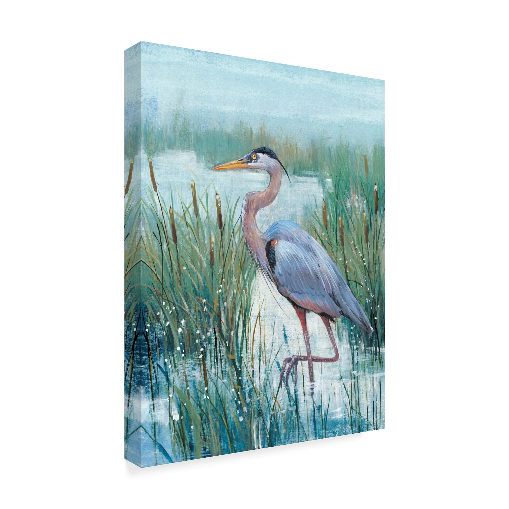 Trademark Fine Art 'Marsh Heron II' Canvas Art by Tim OToole