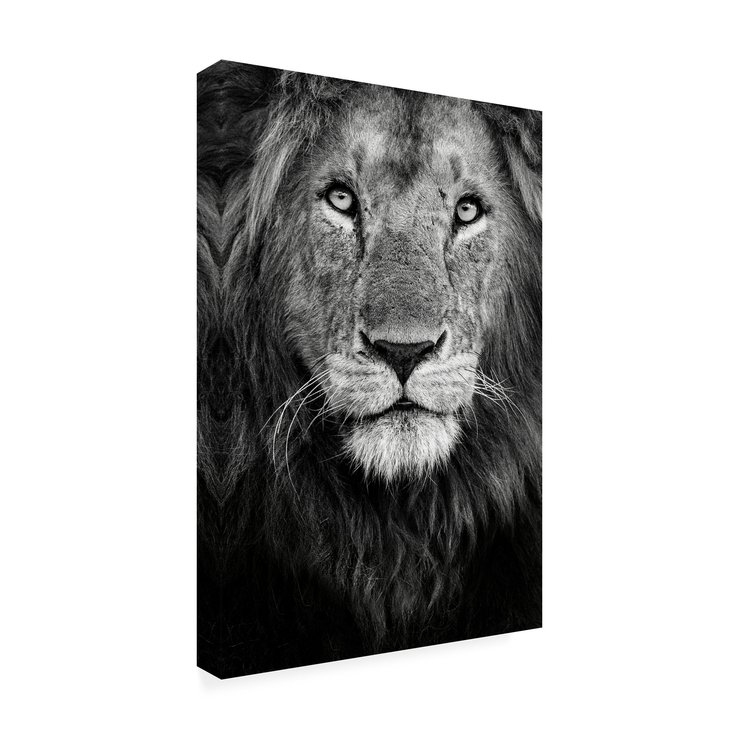 Canvas Wall Art - Xavier Ortega 'Royal Portrait' Wall Art for Living Room, Bedroom, or Office DÃ©cor by Trademark Fine Art - 30 x 47 Inches