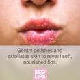 thumbnail image 2 of Scrub Lip Sugar Scrub Eco Lips 100% orgánico, paquete de 4 unidades, 2 of 7