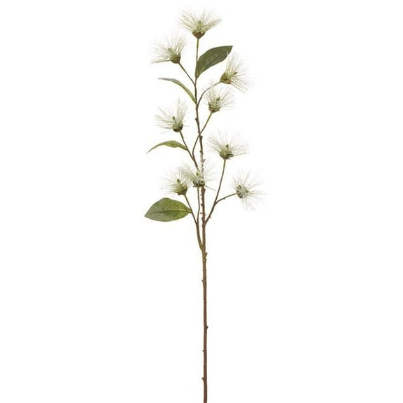 Allstate Floral & Craft FSL090-CR 37.5 in. Lions Tail Artificial Flower Stem Spray, Cream - Pack of 12