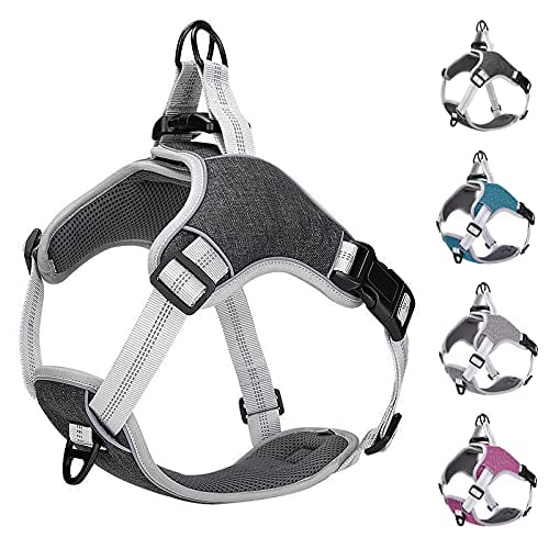 padded easy walk harness