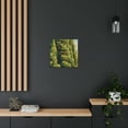 thumbnail image 4 of Cypress in Moonlight - Canvas, 4 of 10