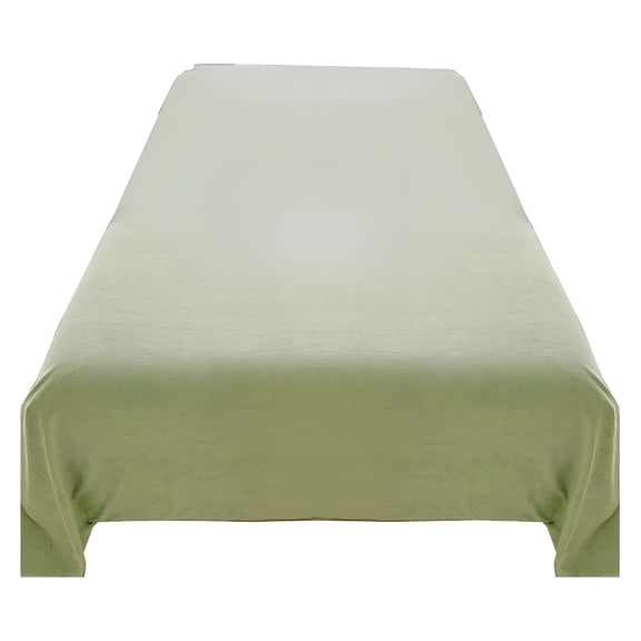AUQ Soft Bed Sheets Queen Slip Resistant Cotton Breathable Flat Sheets Green Velvet Flannel Fleece Bedding Queen Flannel Sheets