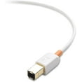 thumbnail image 5 of Cable Matters USB C Printer Cable (USB C to USB B Cable, USB-C to Printer) in White 6.6 Feet, 5 of 6
