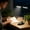 Black, variant on Rechargeable LED Desk Lamp Clip On Reading Light Dual Head Adjustable Brightness Color Temperature Eye Care Study Office Home Bedside Lamp Portable Flexible Gooseneck Task Lighting Night Light