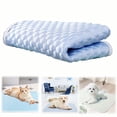 thumbnail image 2 of Goowood Dog Cooling Pad Thin Washable Small Dog Bed Non Slip Summer Crate Mat Portable Kennel Puppy Bed for Large Dogs and Cats Travel Home Use, 2 of 8