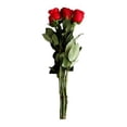 thumbnail image 1 of Bouquet de rosas 6 tallos, 1 of 1