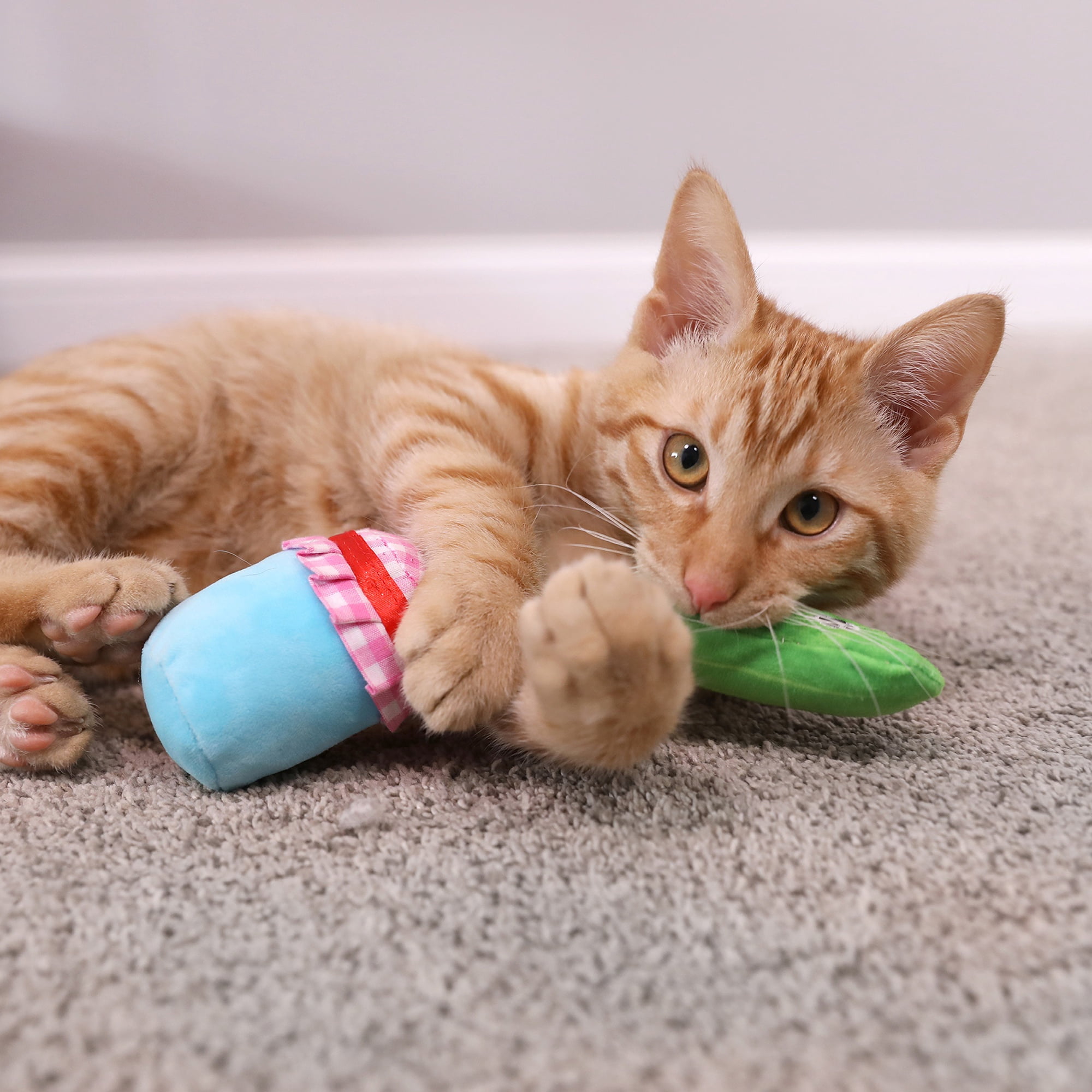Quirky Kitty Pickled Mewcumbers Catnip Interactive Plush Cat Toy, Multicolor, Pack of 2