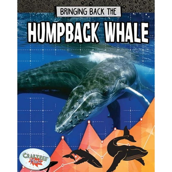 Bringing Back the Humpback Whale