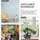thumbnail image 3 of Decoraciones Para Salas De Casa Green Leaf Plants Pots Potted Plant Centerpiece Artificial Pine Bonsai, 3 of 3