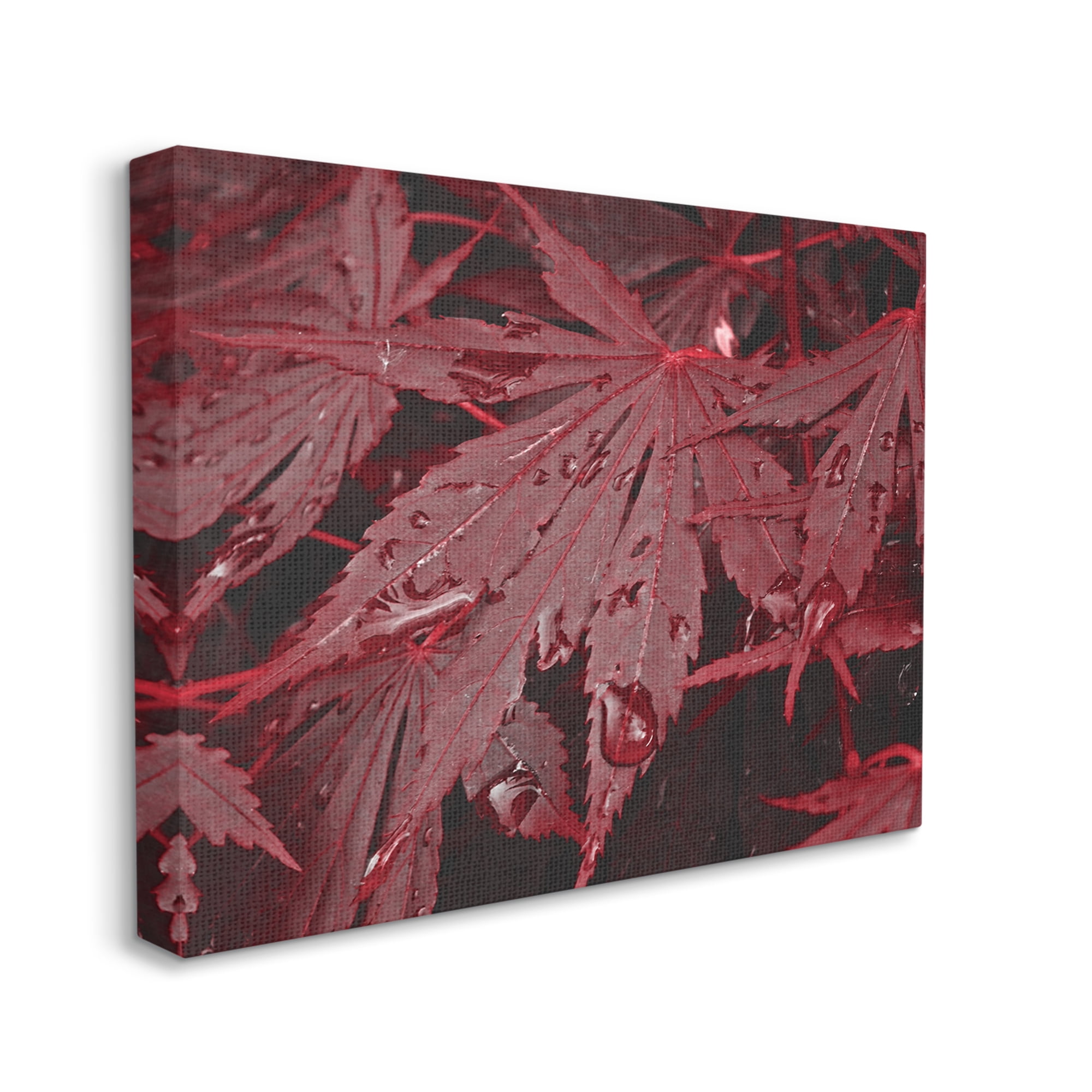 Stupell Industries Red Maple Leaves Botanical & Floral Photography Gallery Wrapped Canvas Print Wall Art, 20 x 16